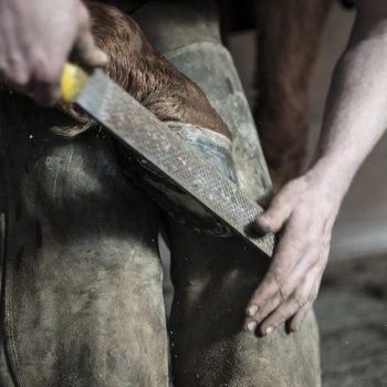 farrier-1246258_640